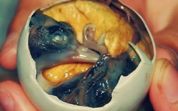 Makanan Tradisional Filipina Telur Dengan Isian Embrio