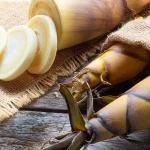 Tumbuhan Tunas Muda Bagian Bambu Adalah Rebung