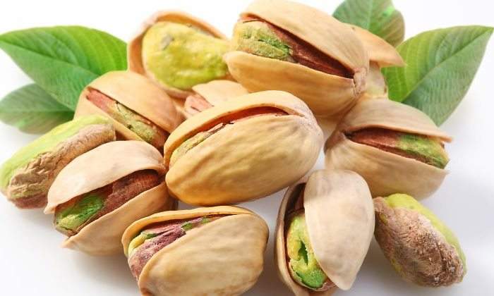 Pistacia Vera Merupakan Tanaman Penghasil Kacang Pistachio
