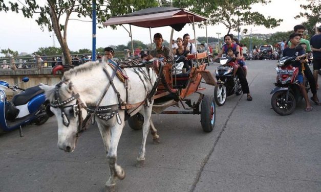 Kendaraan Tradisional Indonesia Sebuah Kuda Atau Delman