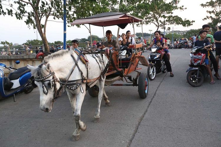 Kendaraan Tradisional Indonesia Sebuah Kuda Atau Delman