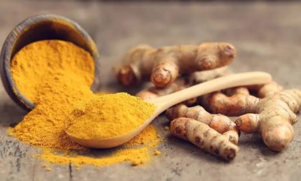 Tanaman Rempah Kunyit Yang Baik Untuk Tubuh