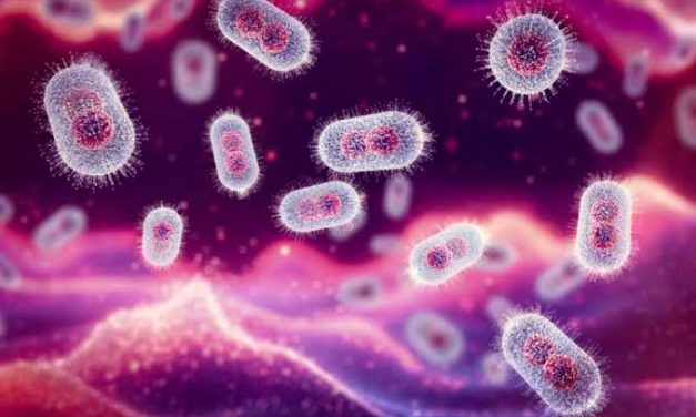 Suatu Mikroorganisme Virus Yang Sangat Membahayakan Sekali