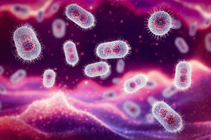 Suatu Mikroorganisme Virus Yang Sangat Membahayakan Sekali